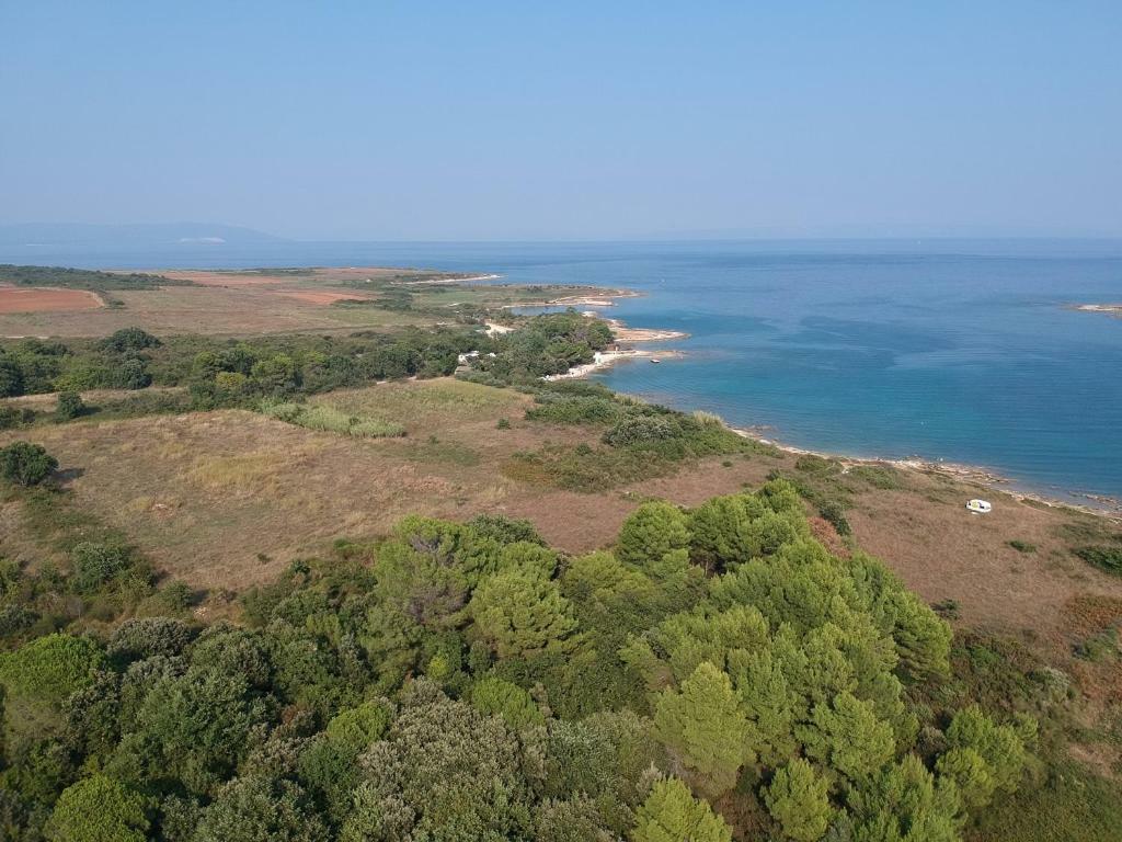 Palmira * Ližnjan